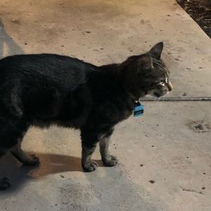 Meet your Posher, Avi